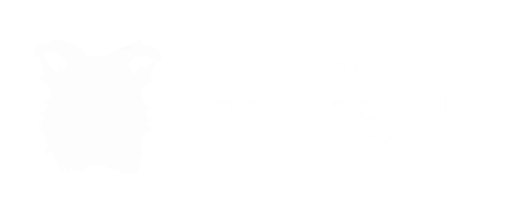 Rescued by Rembrandt