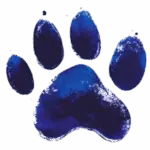 Sharp blue pawprint representing visibility and outreach in animal rescue.