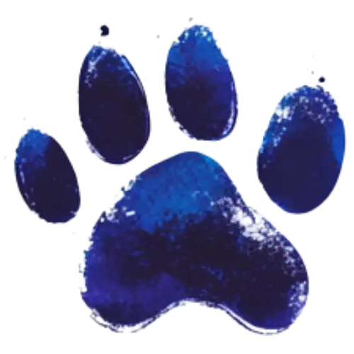 Sharp blue pawprint representing visibility and outreach in animal rescue.