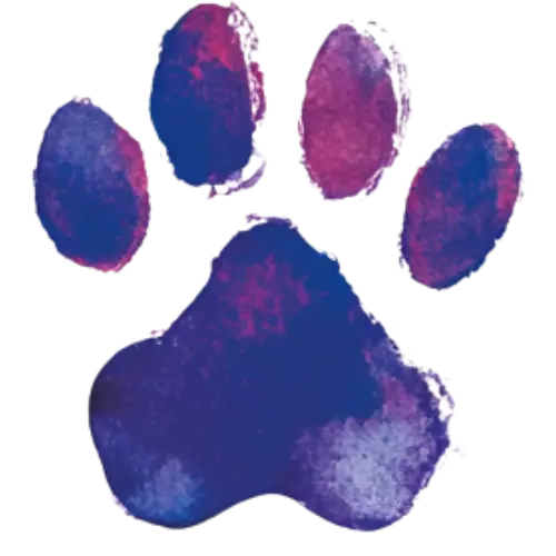 Vibrant purple pawprint reflecting hope, second chances, and legacy in animal rescue.