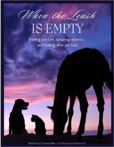 Dog in lavender field – “When the Leash is Empty” grief support book cover