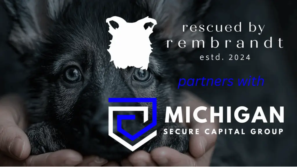 German Shepherd puppy held in hands, symbolizing partnership between Rescued by Rembrandt and Michigan Secure Capital Group for sustainable animal rescue funding.