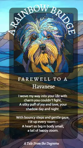 Stained-glass portrait of a Havanese dog in golden light, symbolizing joy, devotion, and a heart that continues to dance beyond the Rainbow Bridge.