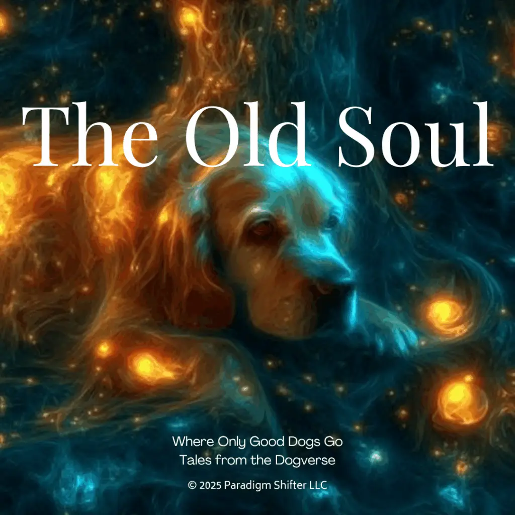 The Old Soul – Where Only Good Dogs Go | Tales from the Dogverse™