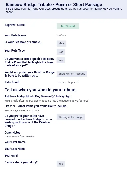 rainbow bridge tribute