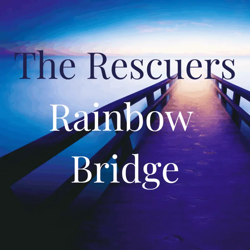 Artistic image of a radiant rainbow bridge extending into the light of dawn, representing rescued animals finding eternal rest and the rescuers who carried them to safety and love.