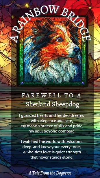 Stained-glass portrait of a Shetland Sheepdog in soft blues and golds, symbolizing devotion, wisdom, and eternal companionship at the Rainbow Bridge.