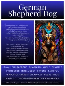 German Shepherd Breed Tribute