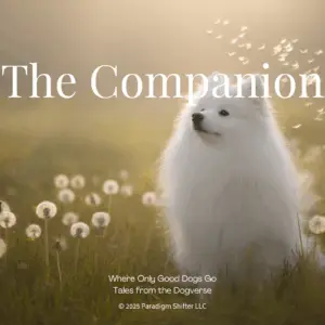 Dog in soft golden light with gentle expression — The Companion™, Where Only Good Dogs Go™ tribute