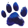 Sharp blue pawprint representing visibility and outreach in animal rescue.
