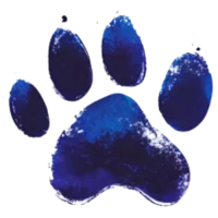 Sharp blue pawprint representing visibility and outreach in animal rescue.