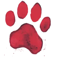 Bold red pawprint symbolizing compassion, emergency aid, and lifesaving action.