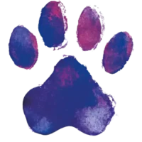 Vibrant purple pawprint reflecting hope, second chances, and legacy in animal rescue.