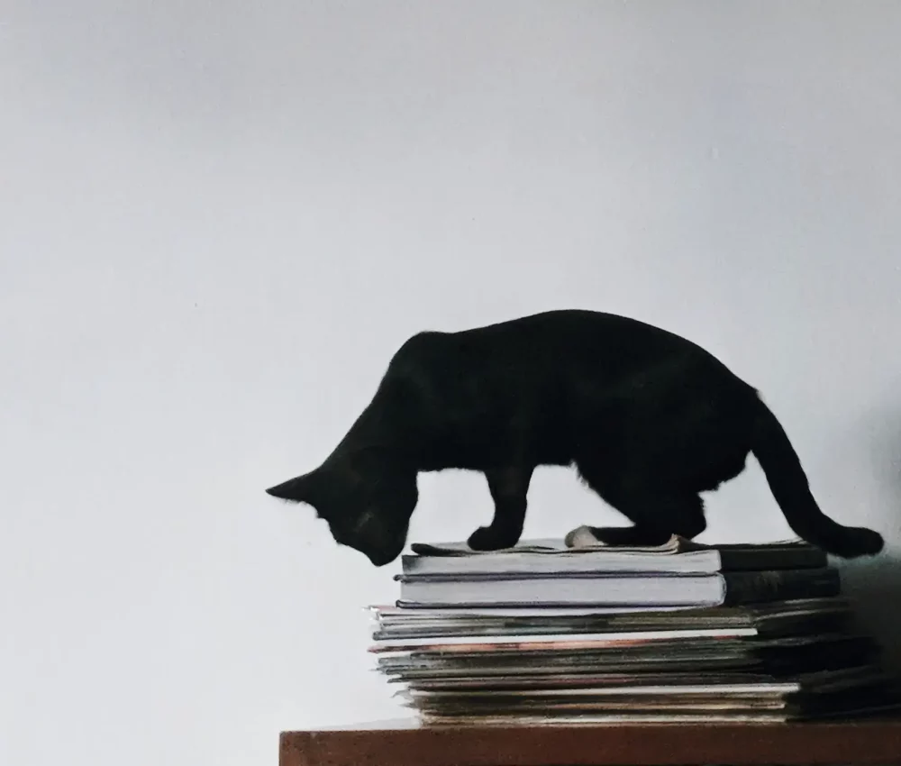 Black cat on a pile of books